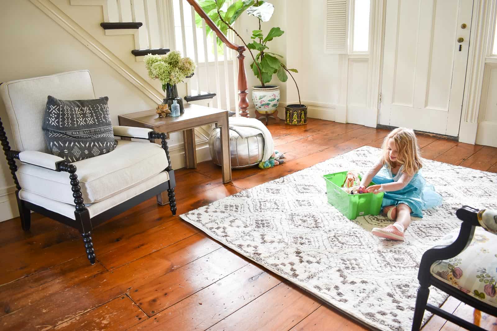 soft textured rug in family foyer