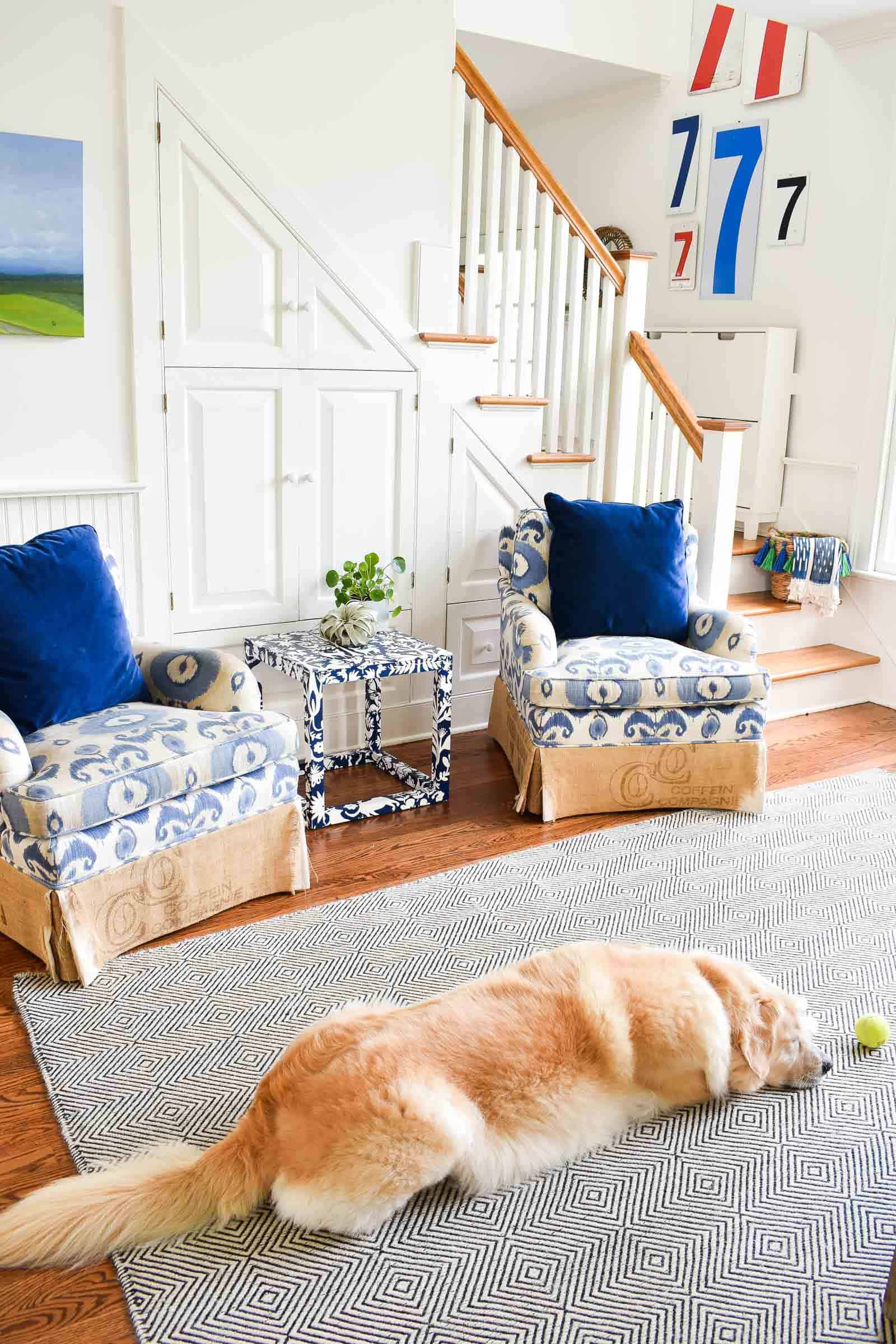 Dog enjoying the new wallpaper covered table