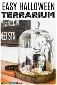 simple glass terrarium for halloween