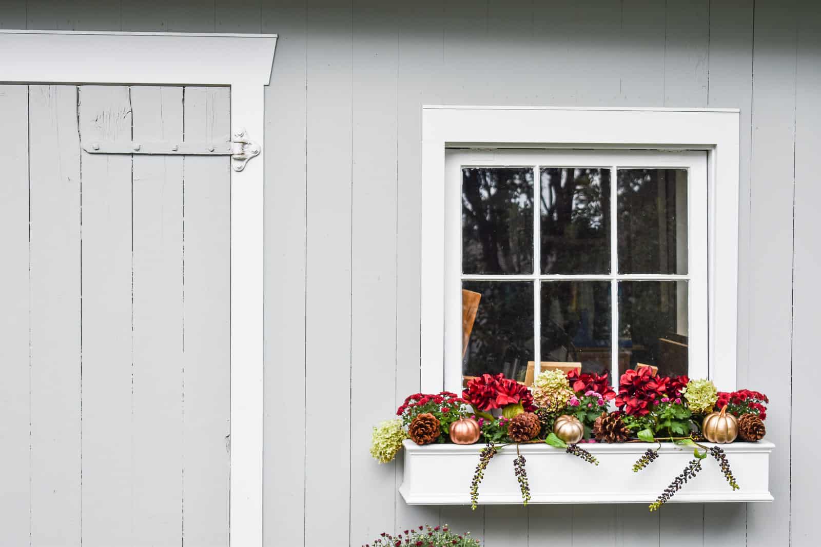 fall window box arrangements