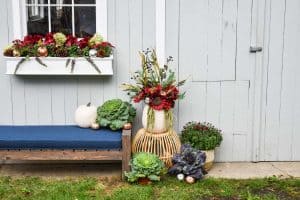 Fall Floral Window Boxes