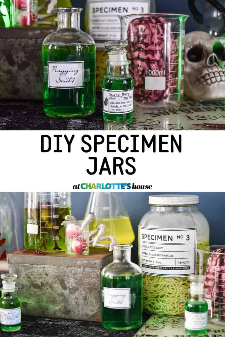 DIY SPECIMEN JARS At Charlotte's House