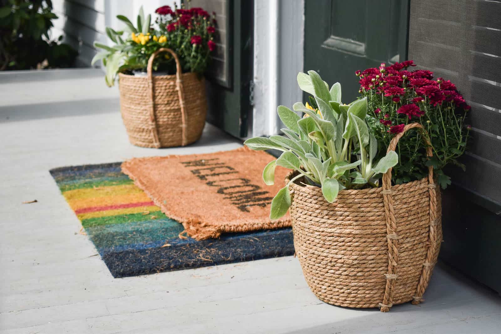 plants next to door on front porch