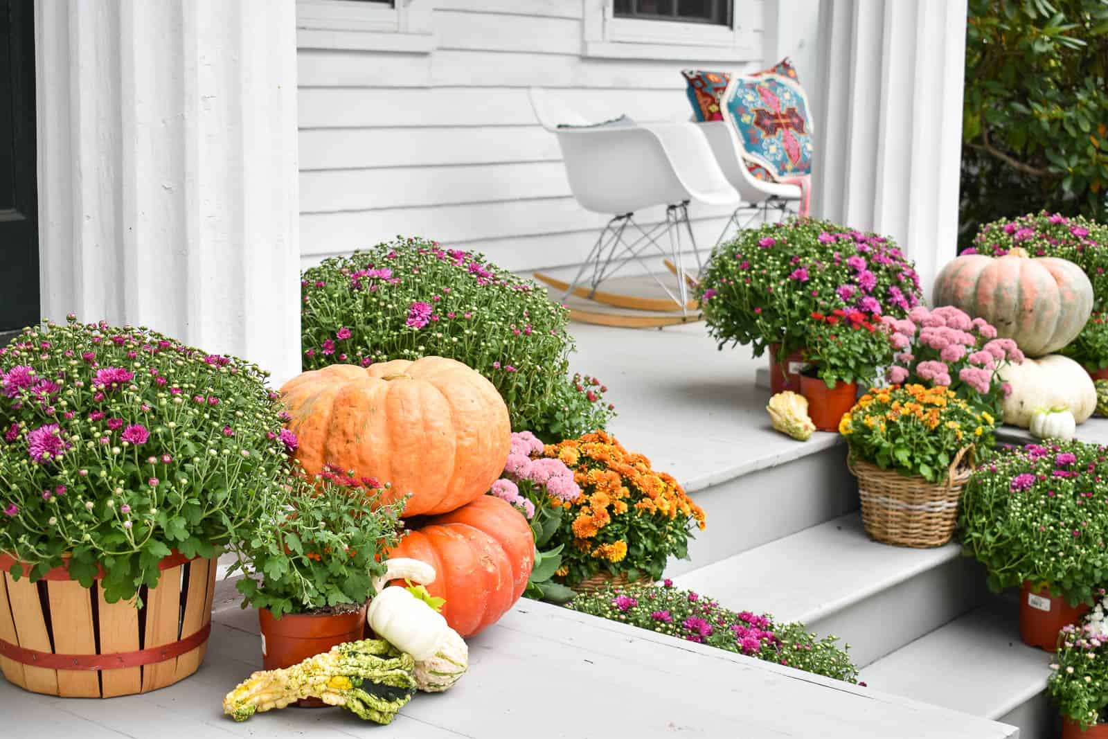 mums from Whole Foods