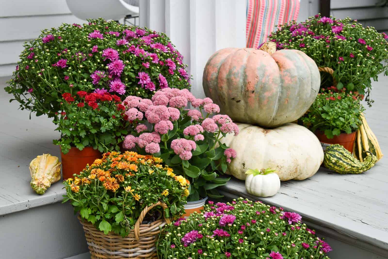 15-Minute Fall Porch Decor - At Charlotte's House