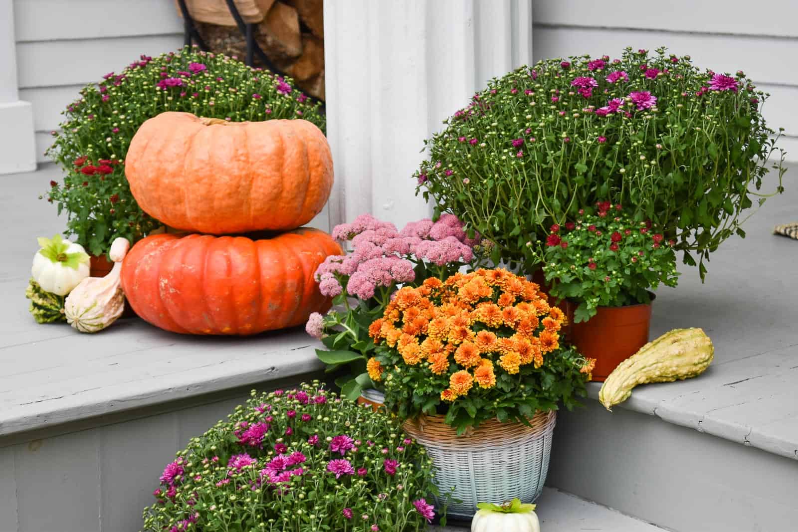 mums and pumpkins on our porch