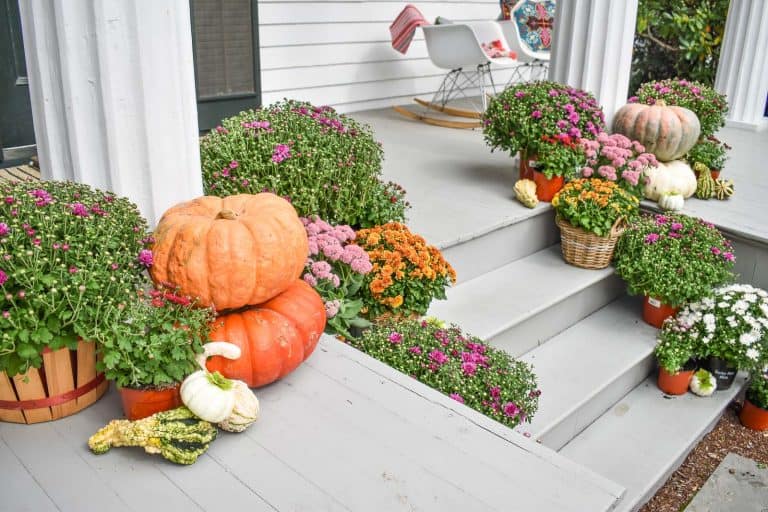 15-Minute Fall Porch Decor