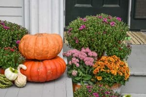 start with pumpkins on porch