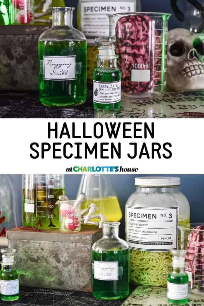 HALLOWEEN SPECIMEN JARS At Charlotte's House