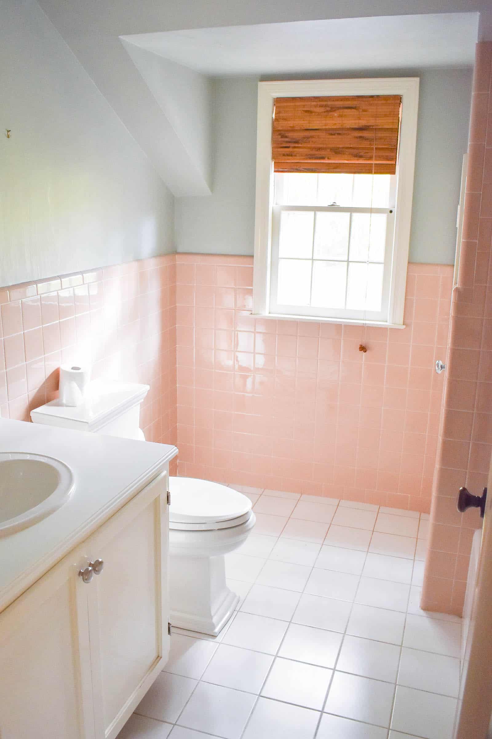 pink bathroom in rental