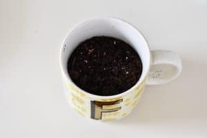 add dirt to mug