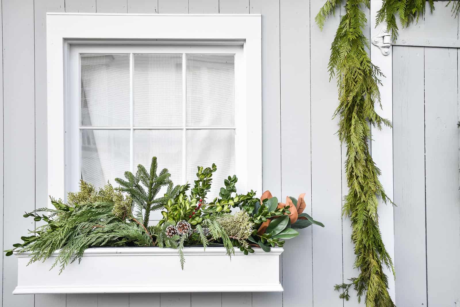 greenery in window boxes