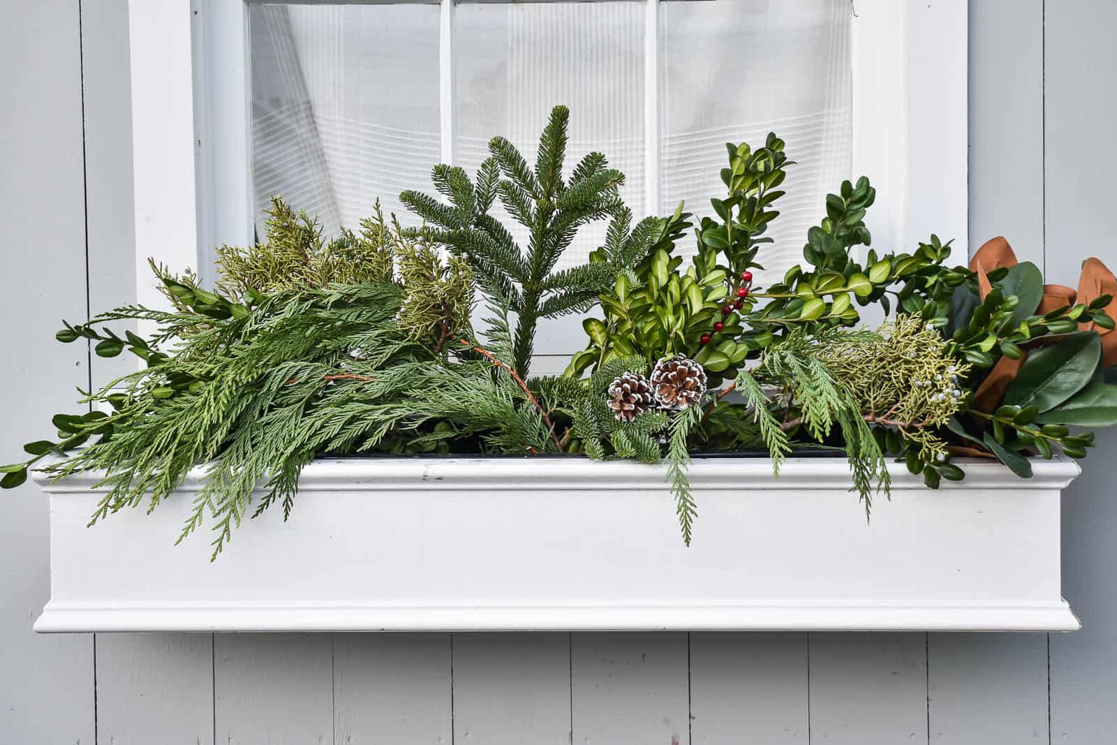 detail of christmas window boxes