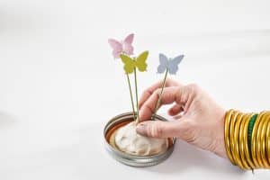 create the terrarium