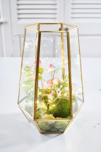 add LED lights to terrarium