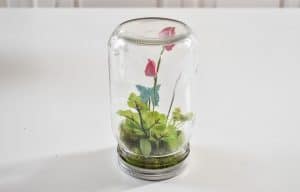 simple mason jar butterfly terrarium