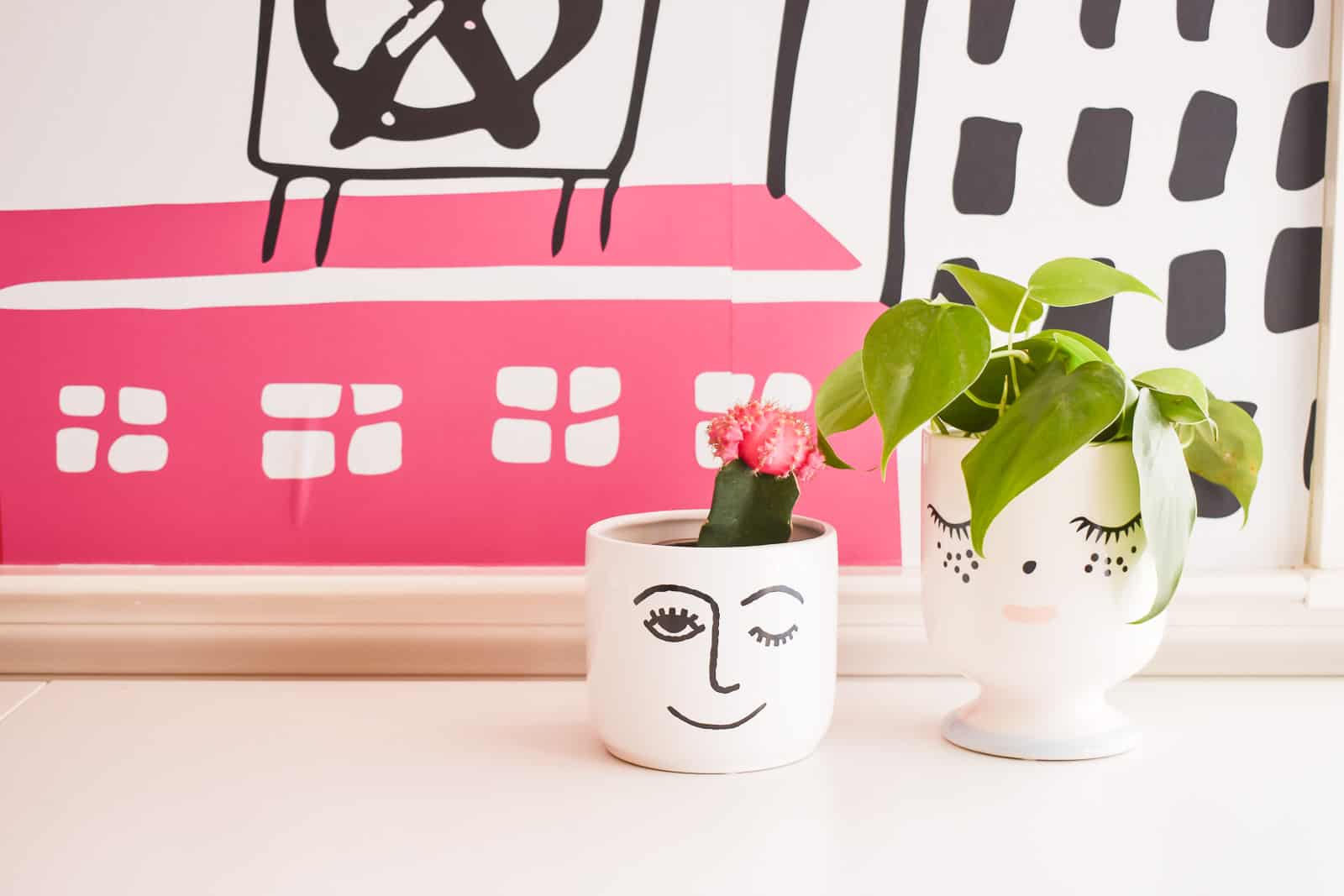 plants on white desk