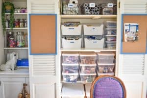 How a Professional Organized My Craft Supplies