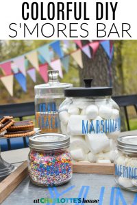 colorful outdoor s'mores party