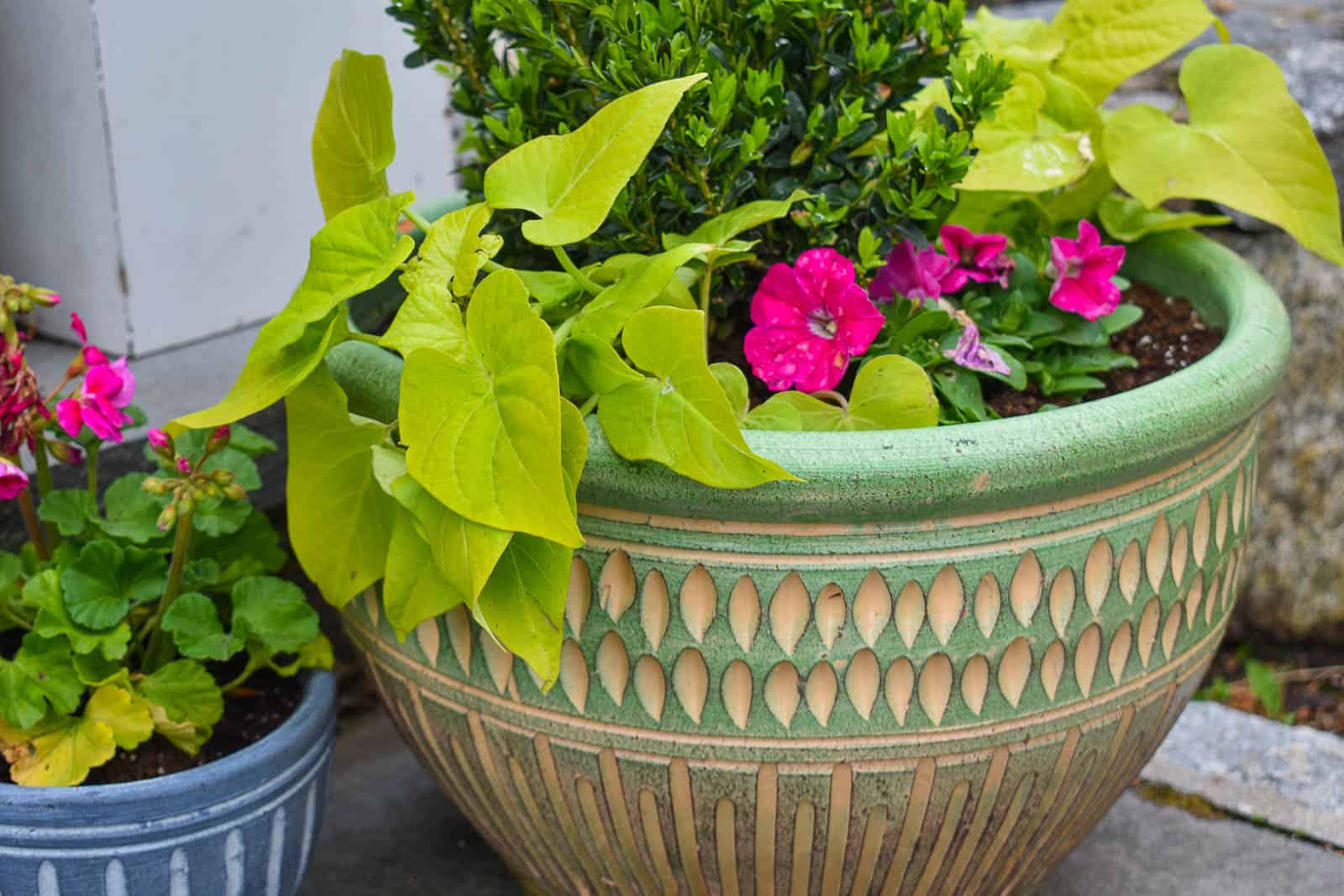 large green planter