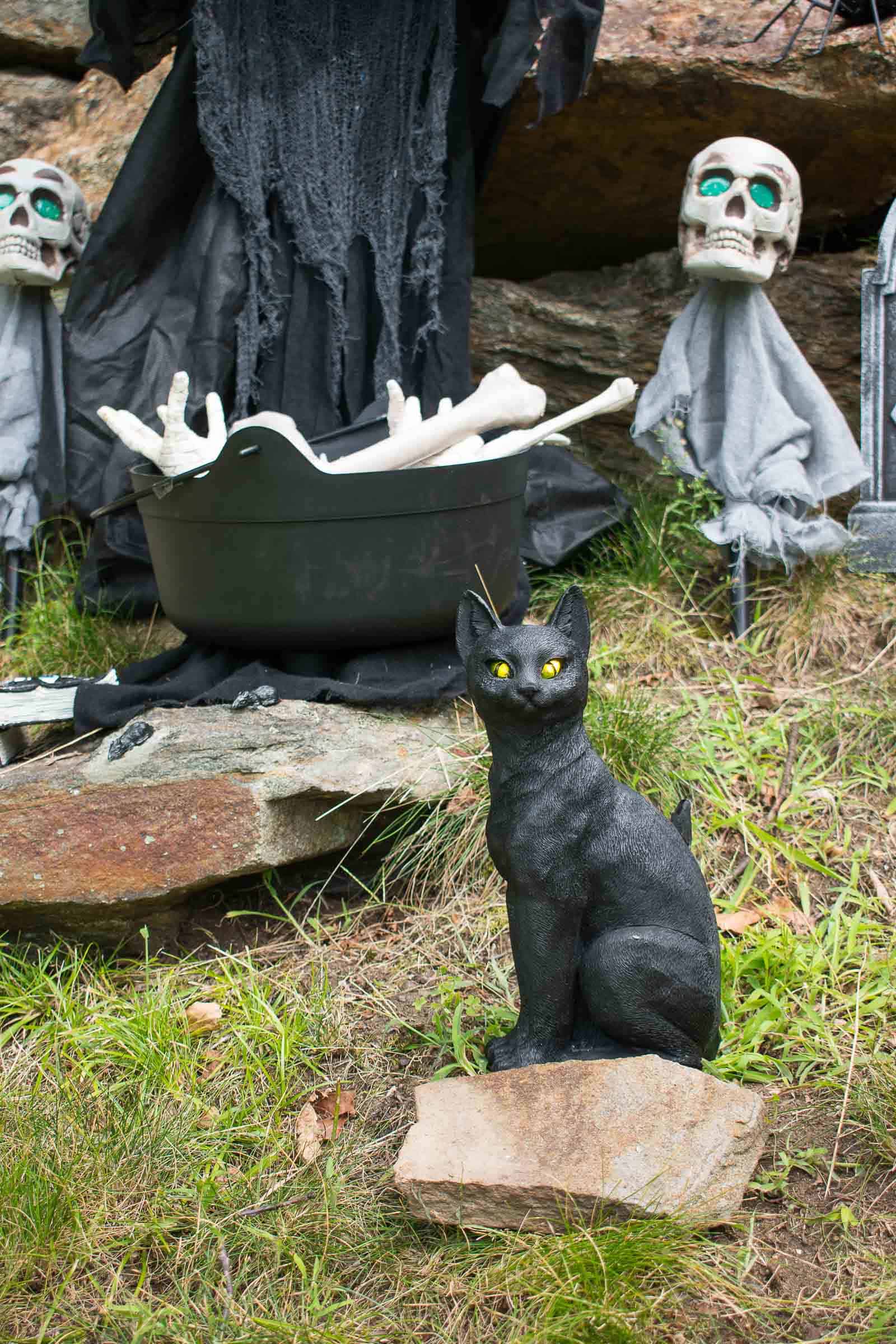 spooky black halloween cat decoration