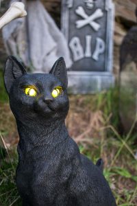 black cat decor for halloween