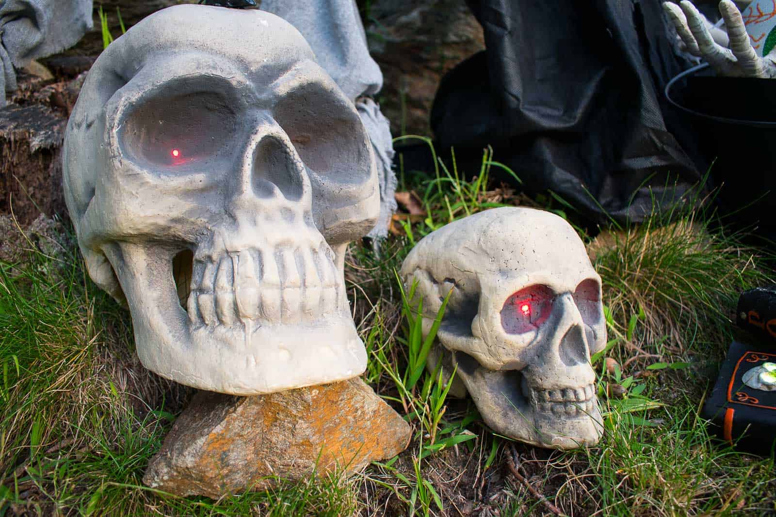 foam skulls for halloween decor