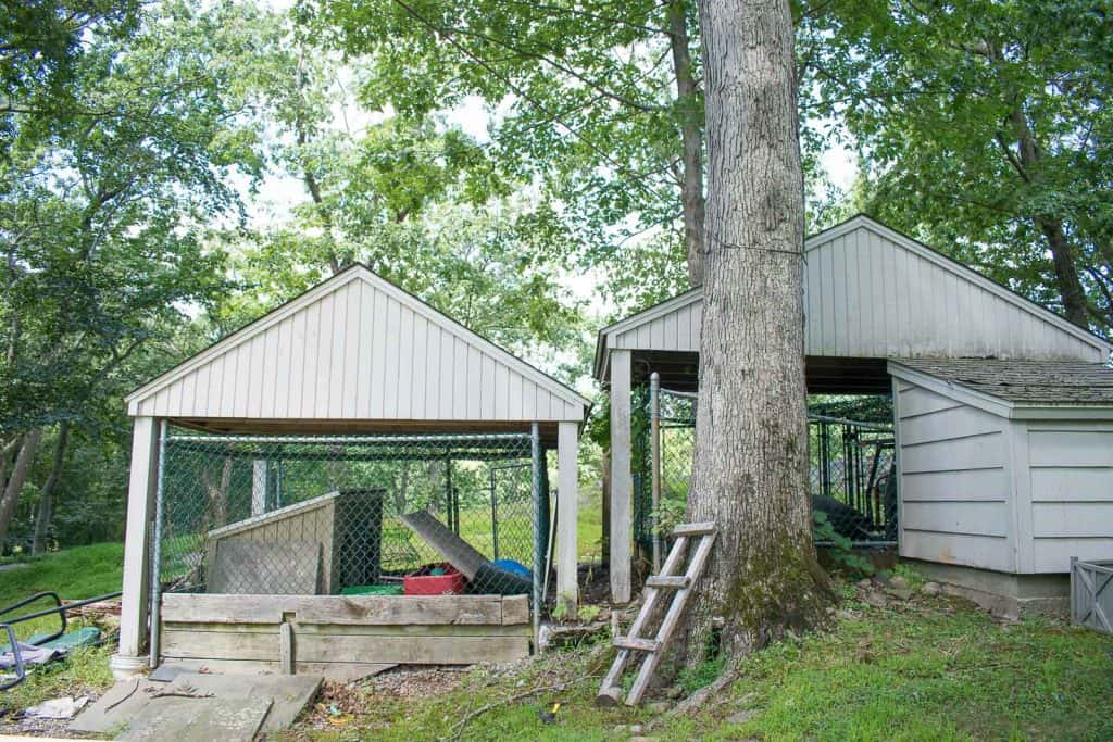 How to Hide an Ugly Chain Link Fence At Charlotte's House