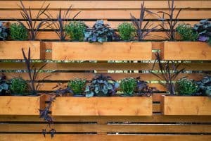 planters on wooden privacy wall