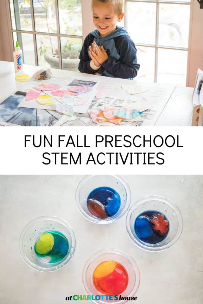 FUN FALL PRESCHOOL STEM ACTIVITIES - At Charlotte's House