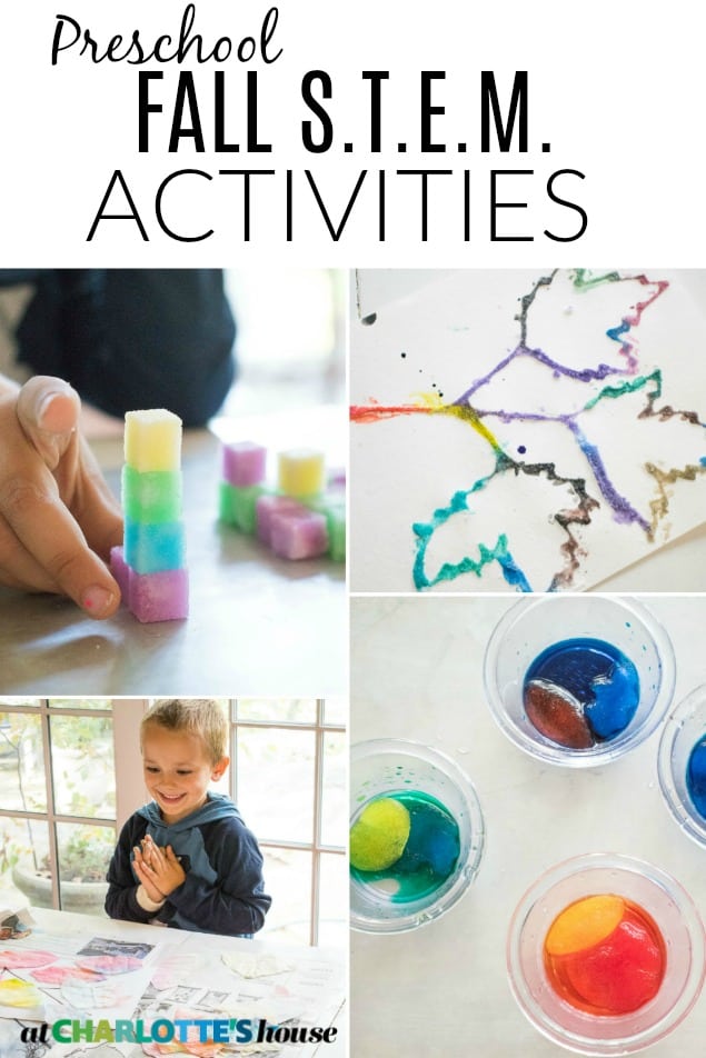 Four fall STEM activities