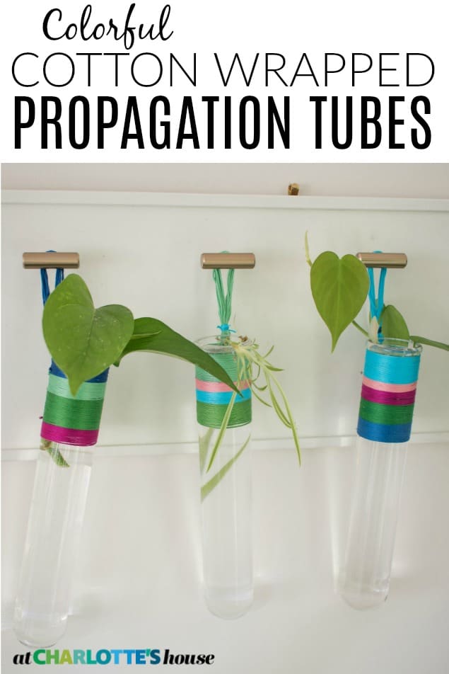 colorful propagation tubes