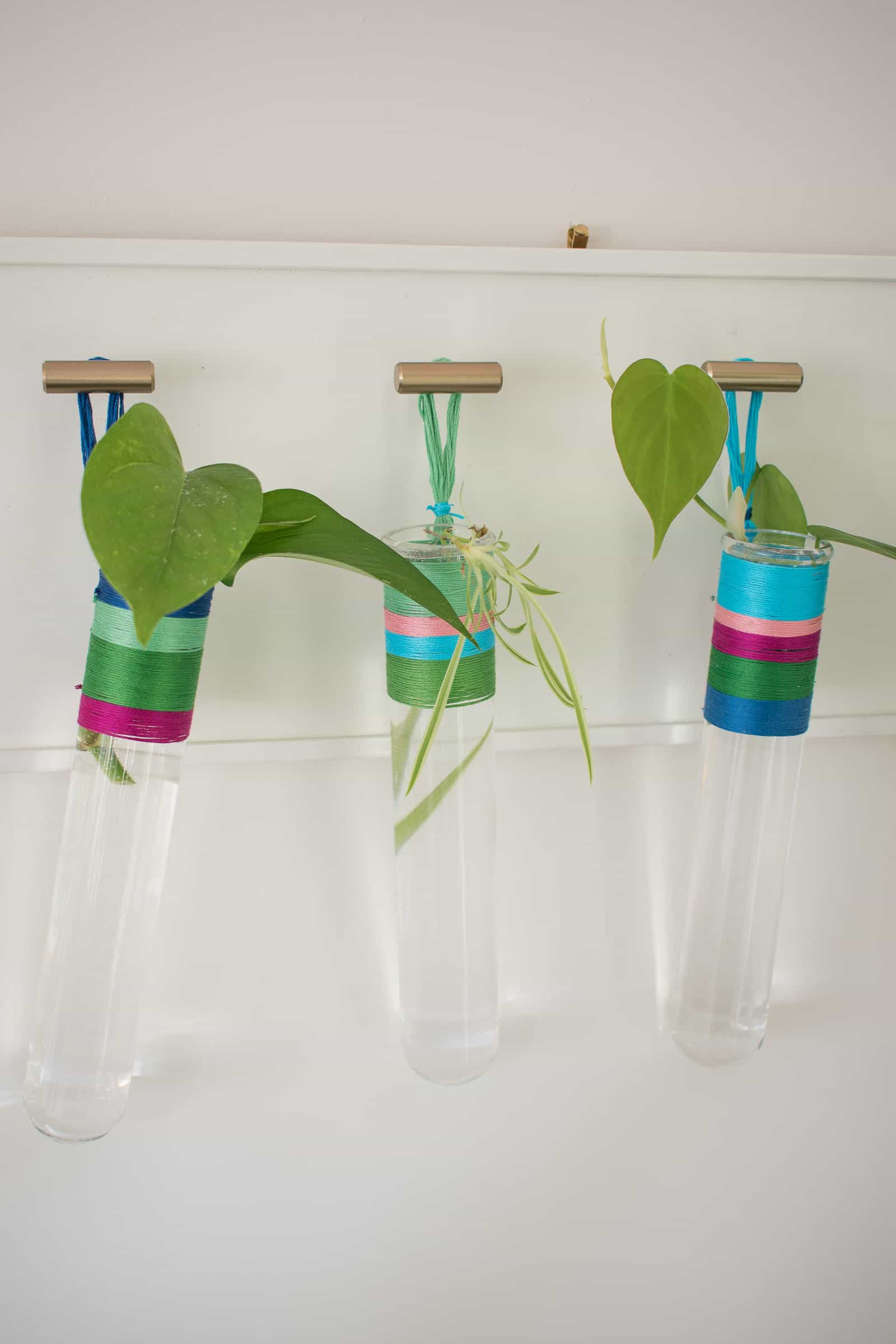 hanging propagation tubes