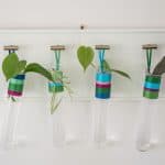 colorful wrapped propagation tubes