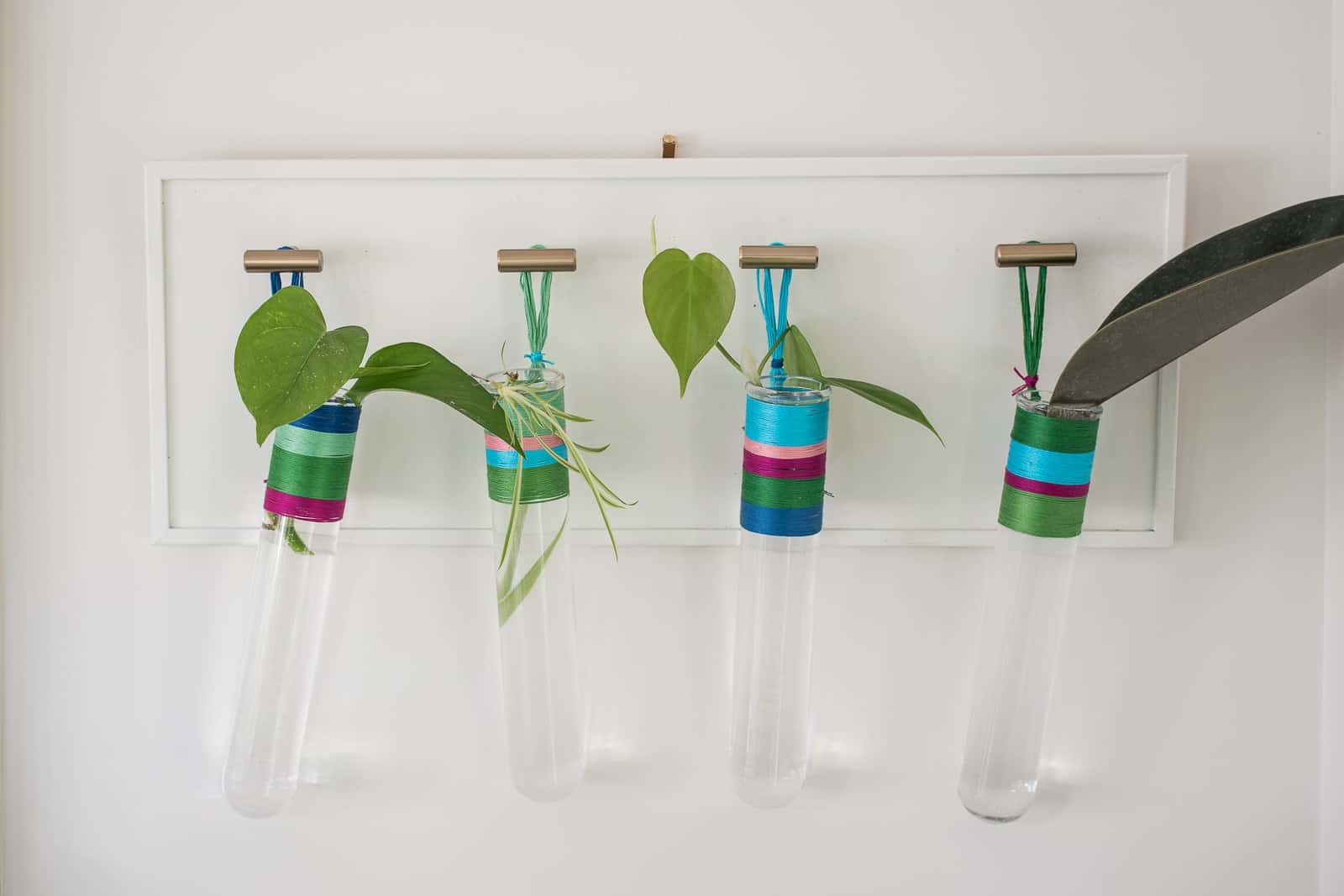 colorful wrapped propagation tubes