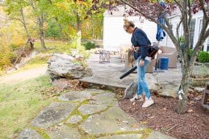 cleaning up our backyard with stihl