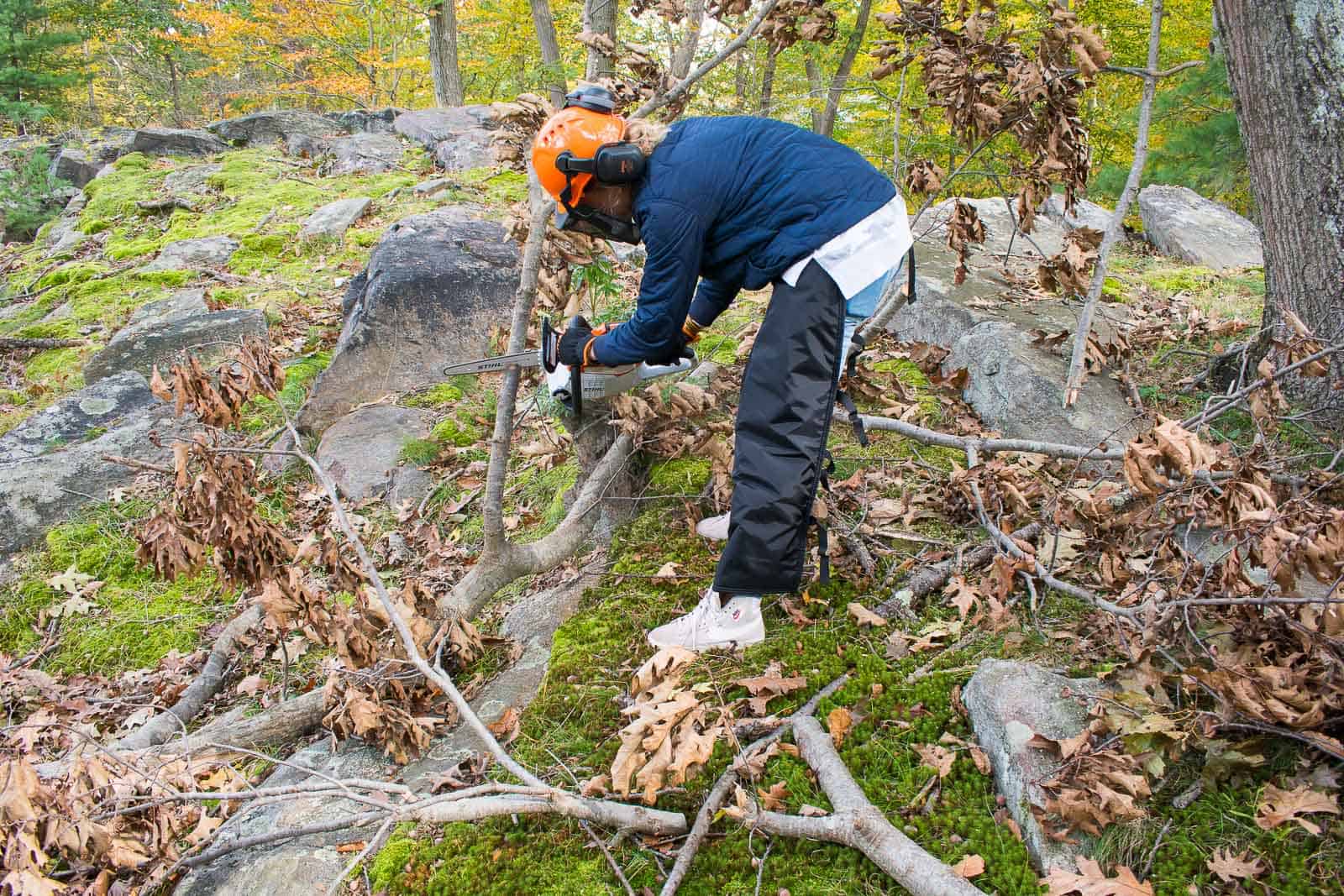 using a chain saw to remove fallen limbs