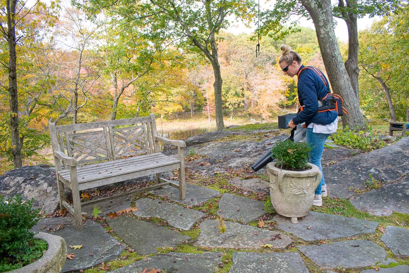 removing acorns with leaf blower