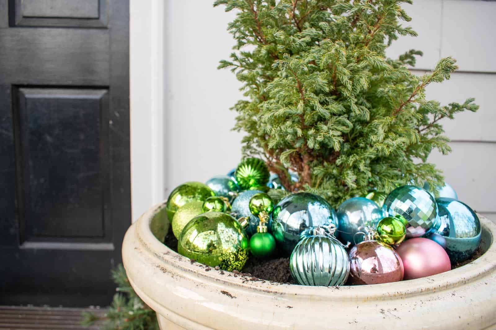 ornaments around evergreen