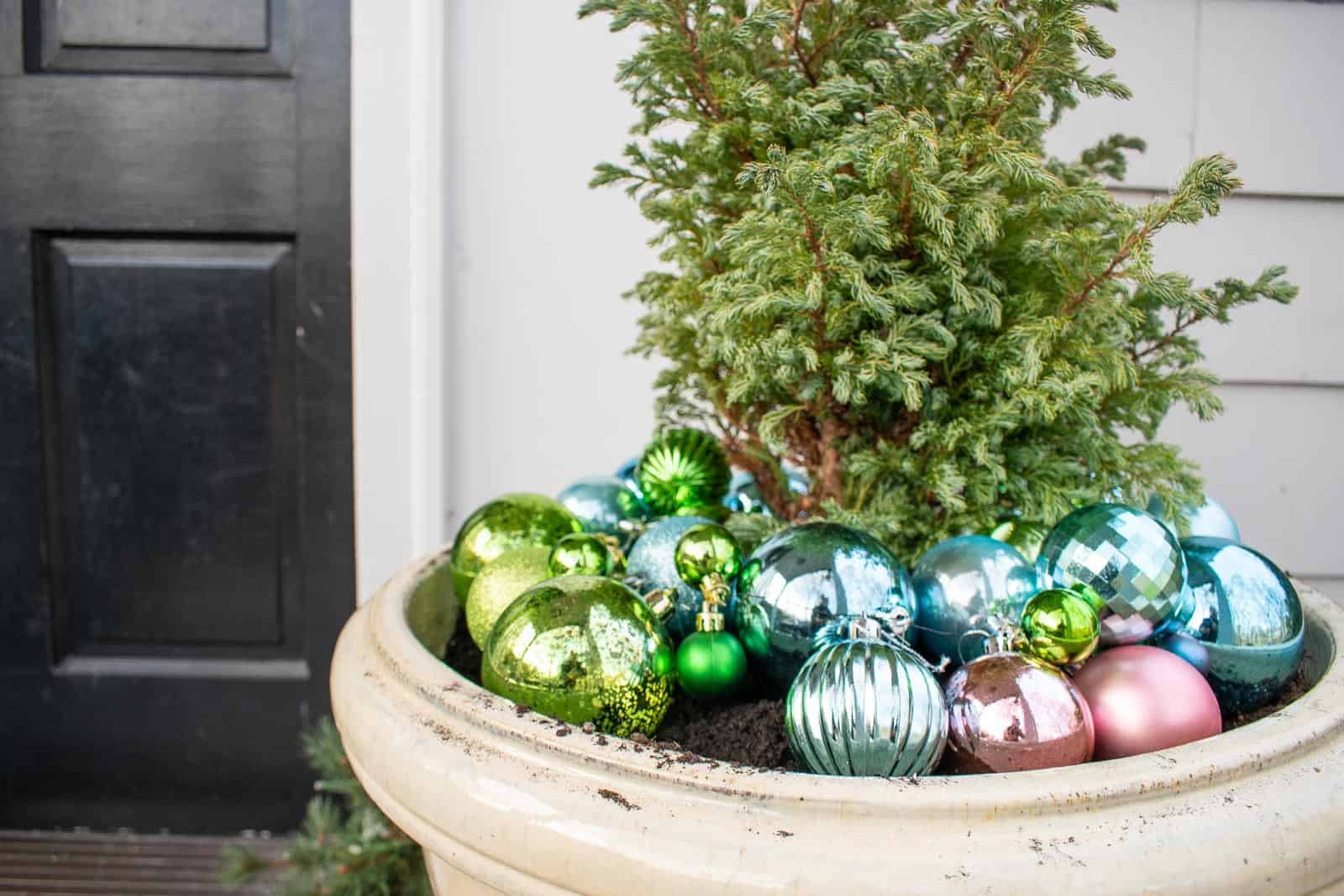 Spray Shelter and Spring Planters - At Charlotte's House