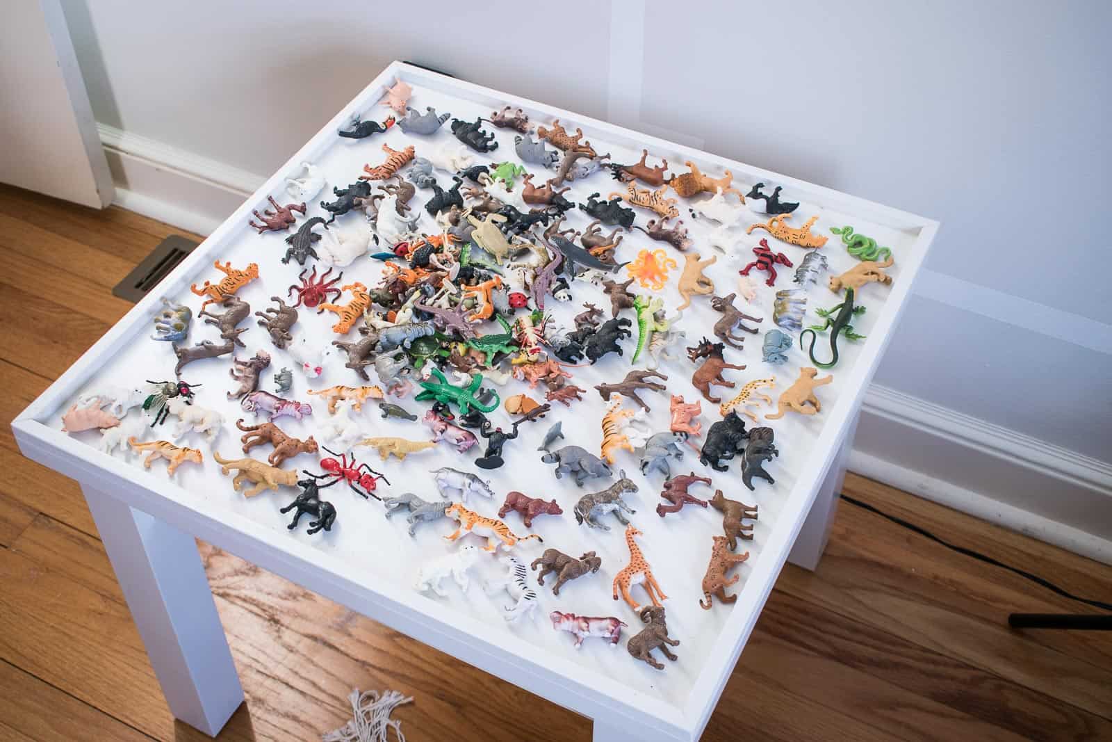 lay out animals on table top