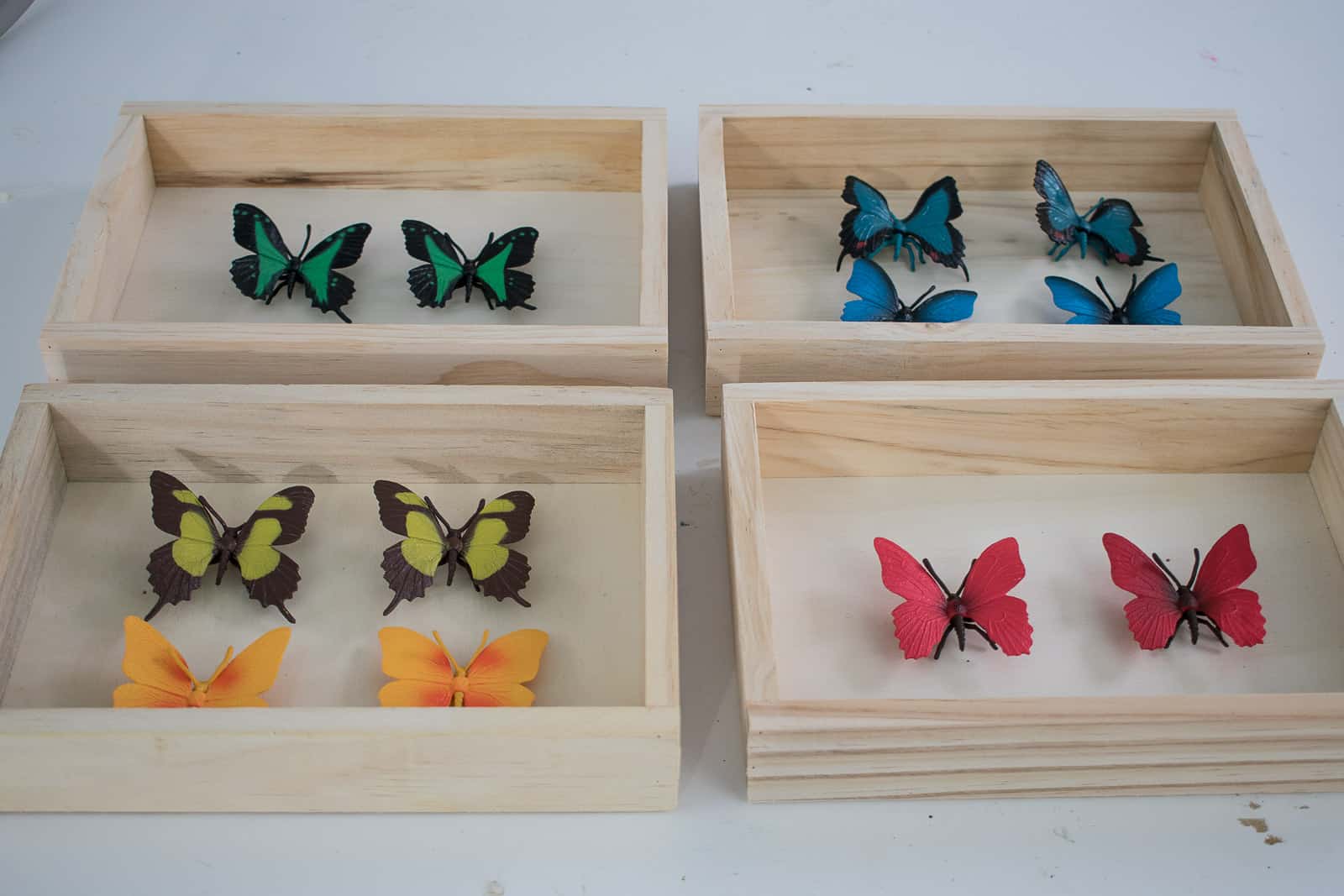 Easy Butterfly DIY Shadow Box - At Charlotte's House