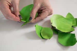 shape the paper petals