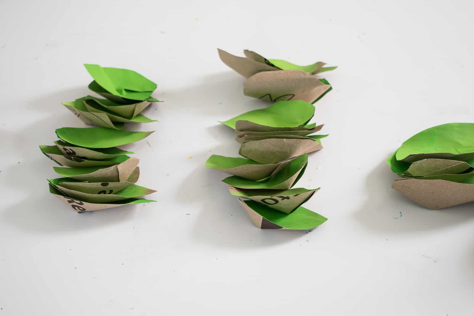 assemble the succulent petals in a ring