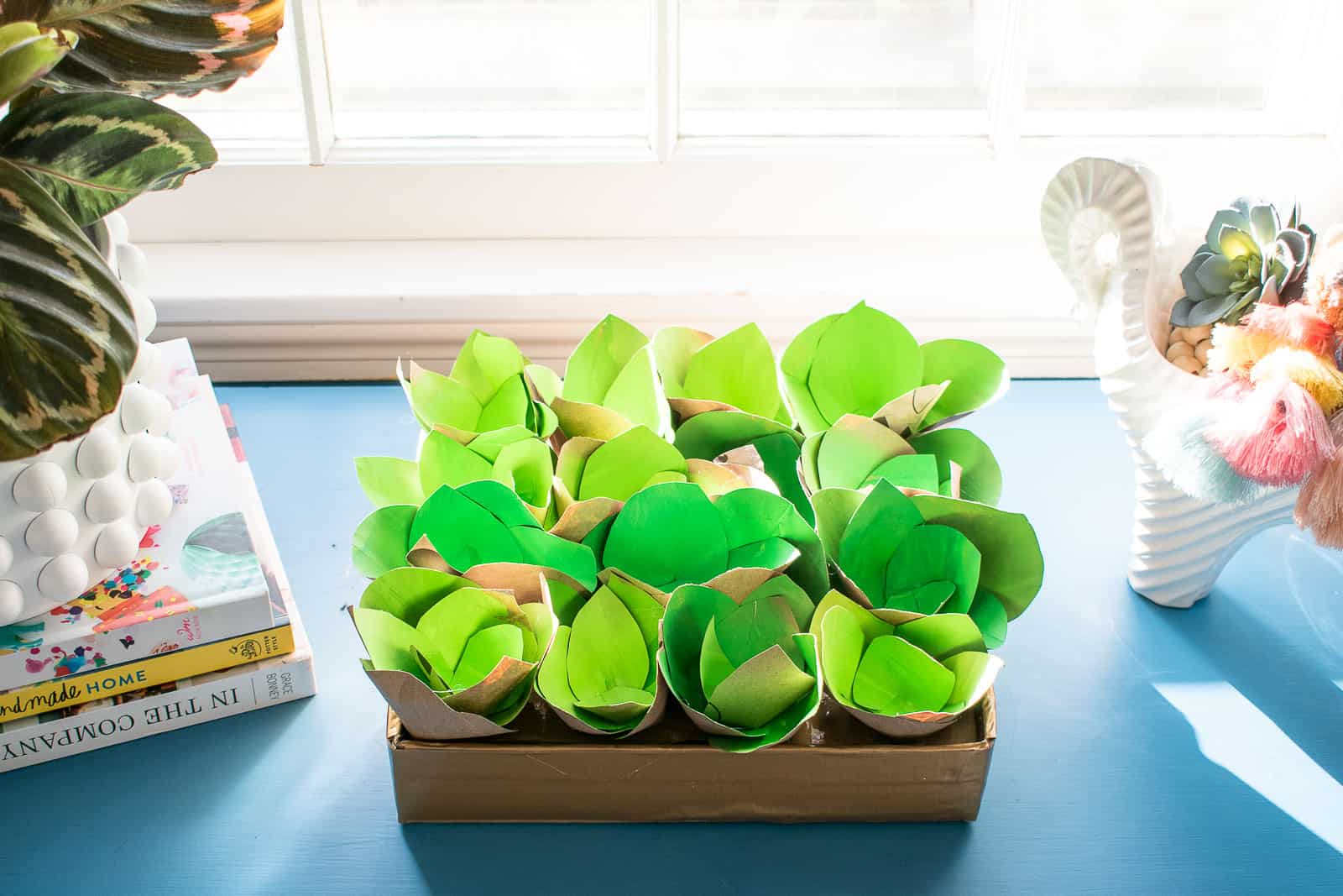 paper bag succulents