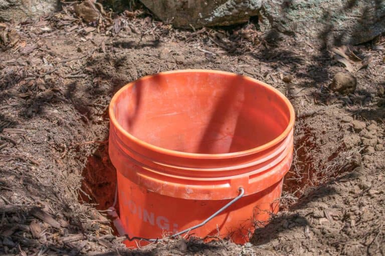 How to Make a Concrete Fountain Orb At Charlotte's House