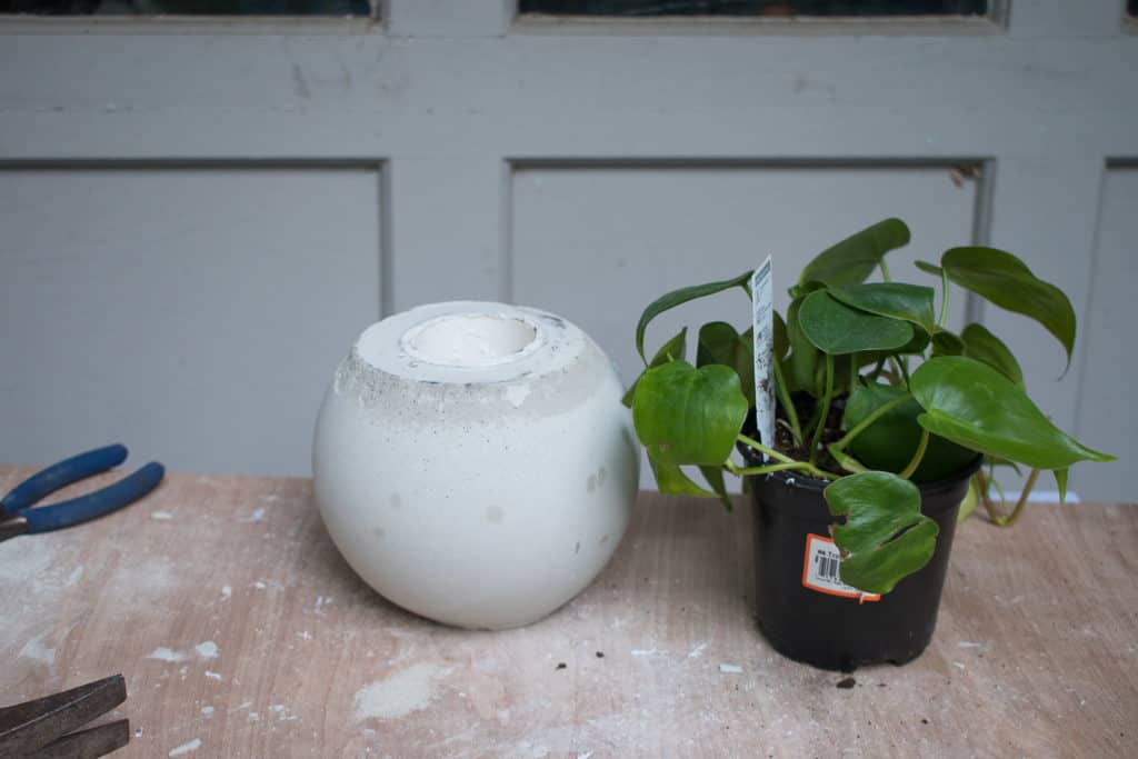 How to Make Easy Cement Orb Planters - At Charlotte's House
