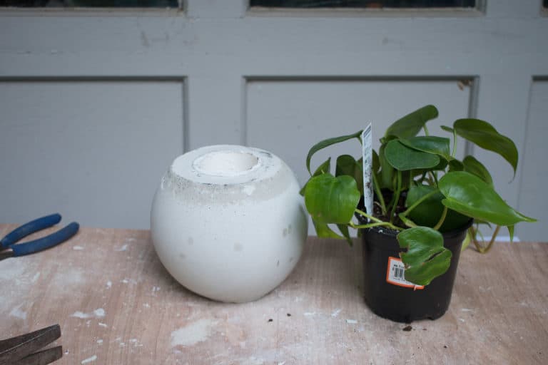 How to Make Easy Cement Orb Planters - At Charlotte's House