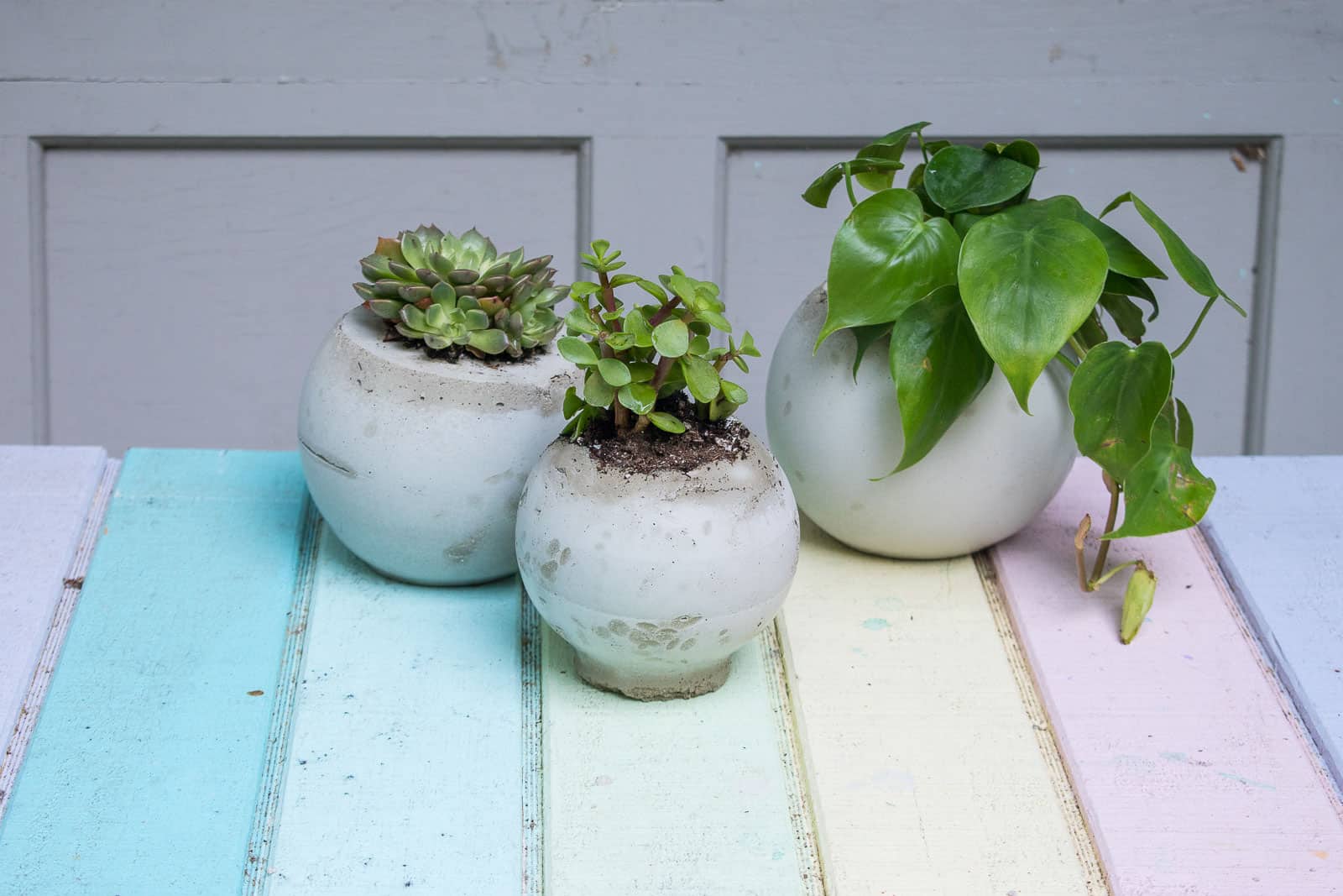 cement orb planters
