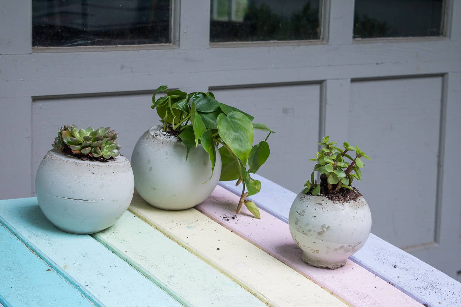 cement orb planters